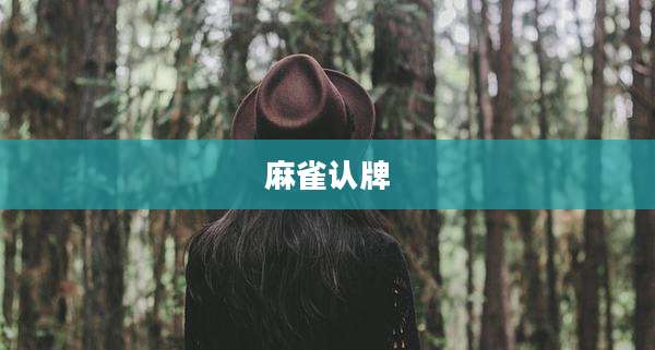 麻雀认牌
