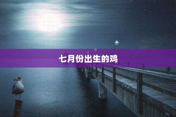 七月份出生的鸡
