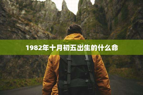 1982年十月初五出生的什么命