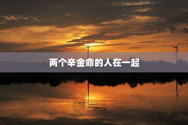 两个辛金命的人在一起
