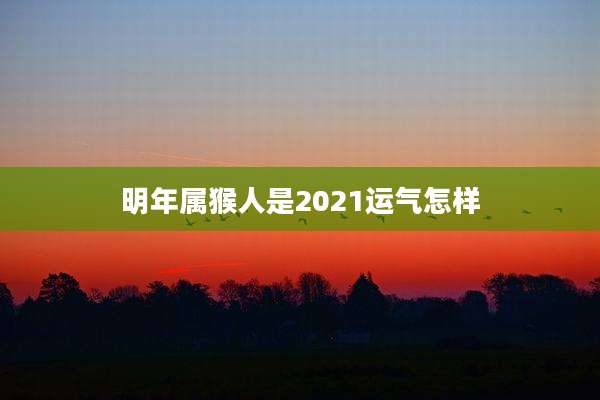 明年属猴人是2021运气怎样