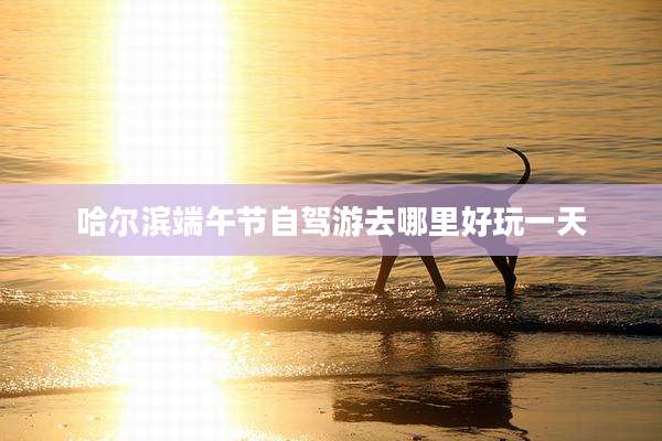 哈尔滨端午节自驾游去哪里好玩一天