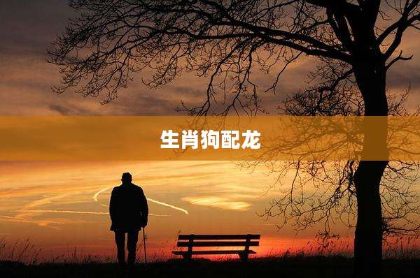 生肖狗配龙