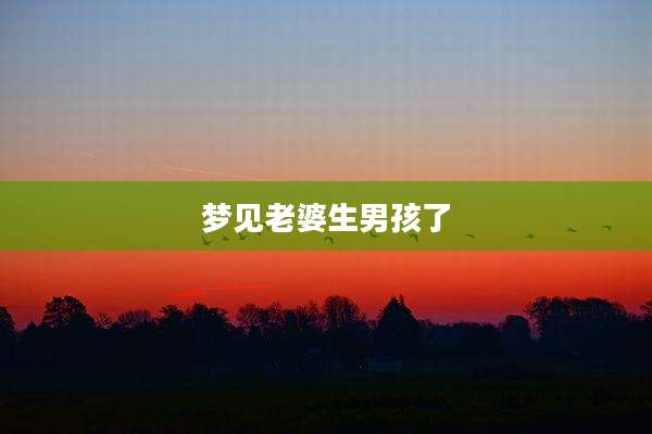 梦见老婆生男孩了