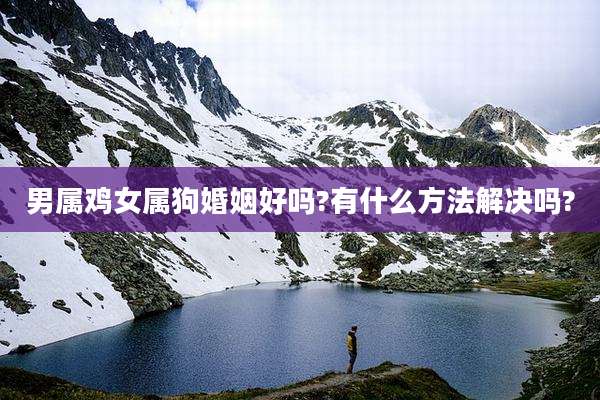 男属鸡女属狗婚姻好吗?有什么方法解决吗?