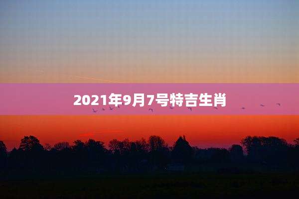 2021年9月7号特吉生肖