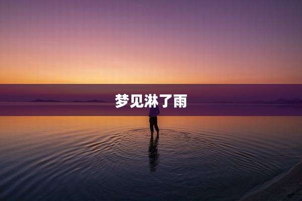 梦见淋了雨