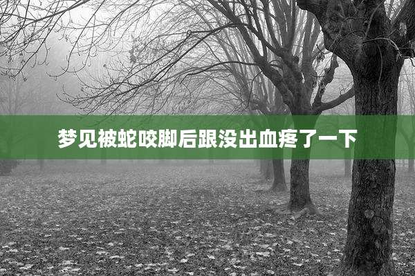 梦见被蛇咬脚后跟没出血疼了一下