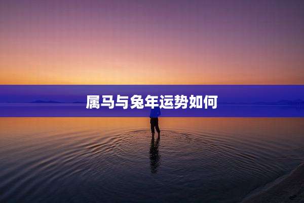 属马与兔年运势如何