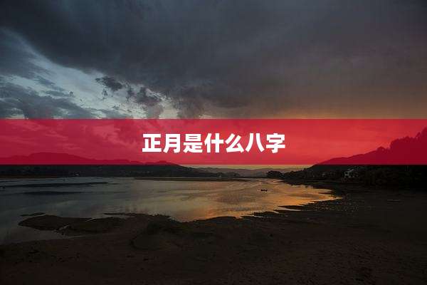 正月是什么八字