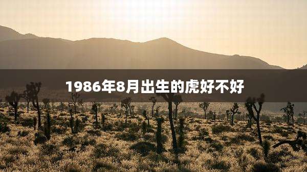 1986年8月出生的虎好不好