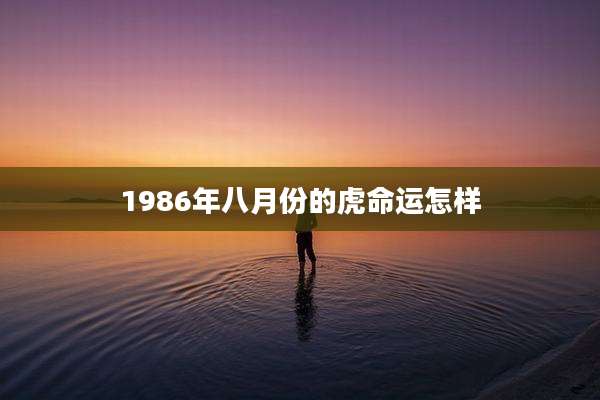 1986年八月份的虎命运怎样