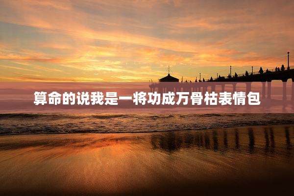 算命的说我是一将功成万骨枯表情包