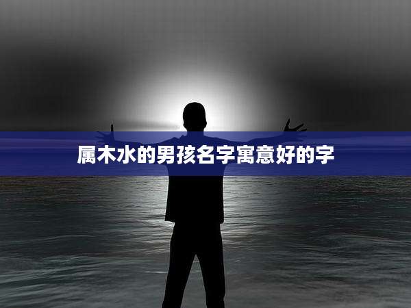 属木水的男孩名字寓意好的字