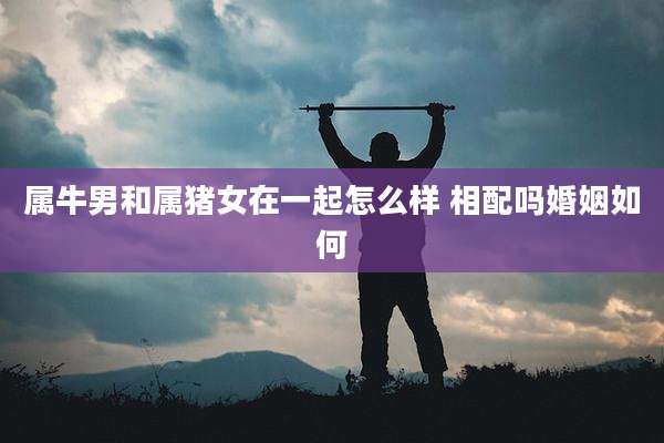 属牛男和属猪女在一起怎么样 相配吗婚姻如何