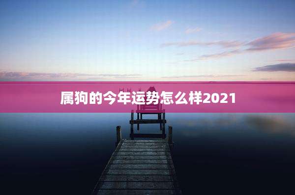 属狗的今年运势怎么样2021