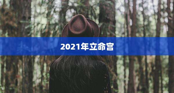 2021年立命宫