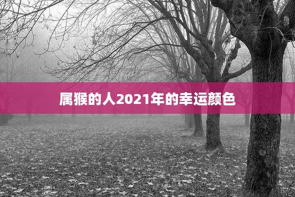 属猴的人2021年的幸运颜色