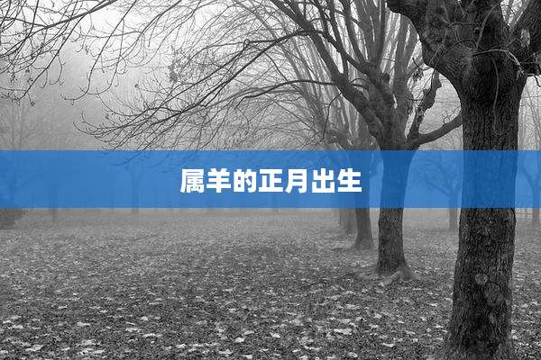 属羊的正月出生