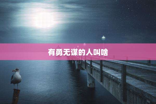 有勇无谋的人叫啥