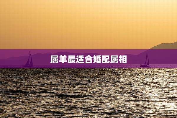 属羊最适合婚配属相