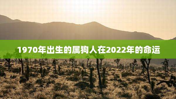 1970年出生的属狗人在2022年的命运