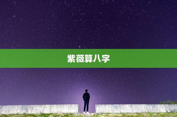 紫薇算八字