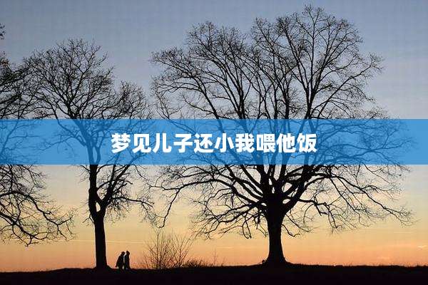 梦见儿子还小我喂他饭