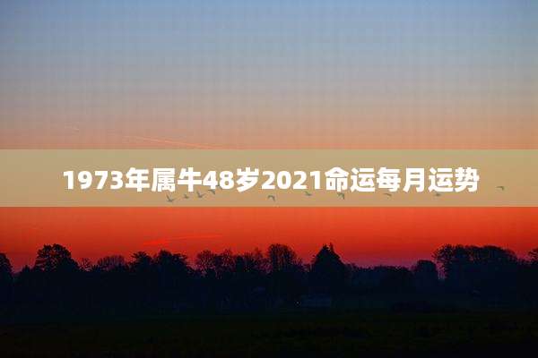 1973年属牛48岁2021命运每月运势
