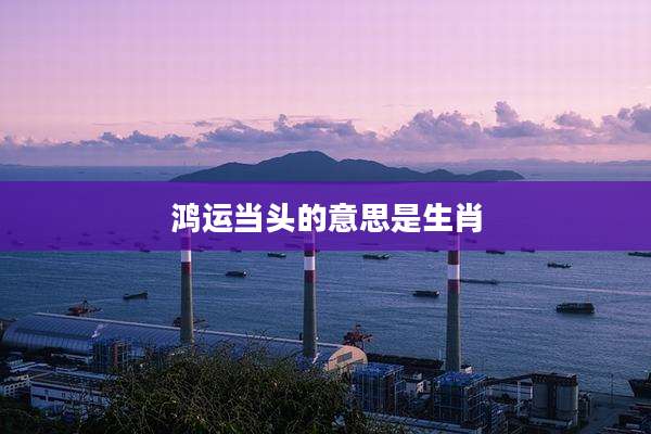 鸿运当头的意思是生肖