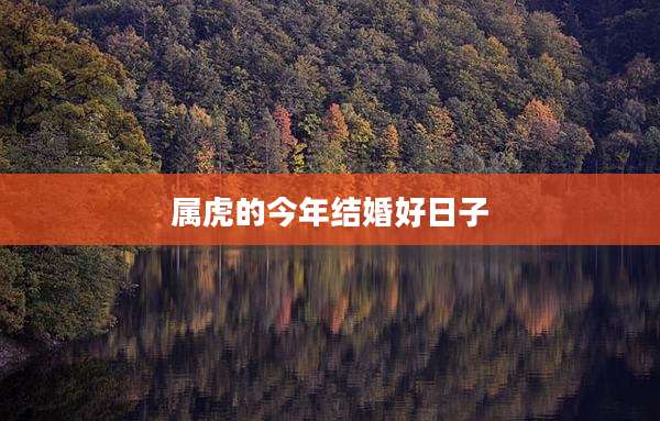 属虎的今年结婚好日子