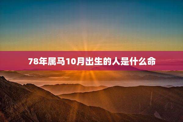 78年属马10月出生的人是什么命