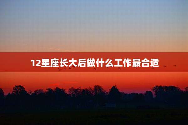 12星座长大后做什么工作最合适