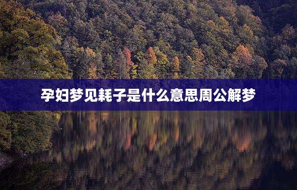 孕妇梦见耗子是什么意思周公解梦