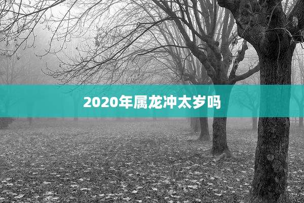 2020年属龙冲太岁吗