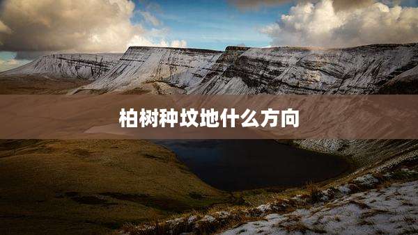 柏树种坟地什么方向