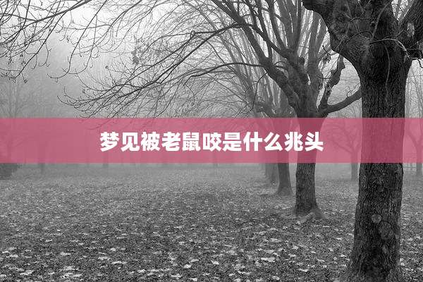 梦见被老鼠咬是什么兆头