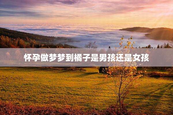 怀孕做梦梦到橘子是男孩还是女孩