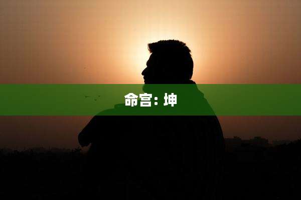 命宫: 坤
