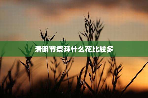 清明节祭拜什么花比较多