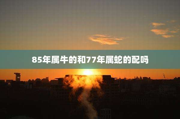 85年属牛的和77年属蛇的配吗