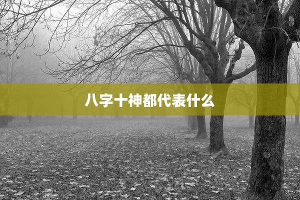 八字十神都代表什么