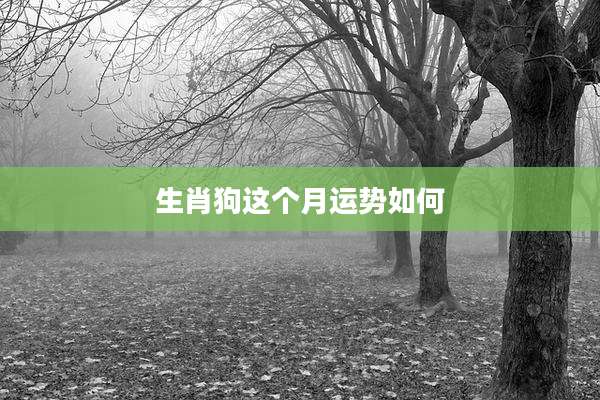 生肖狗这个月运势如何