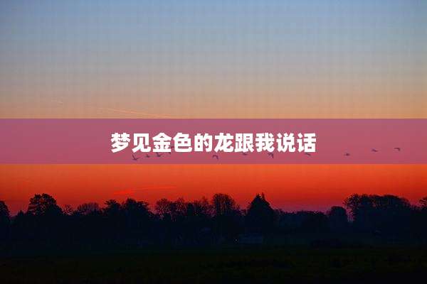 梦见金色的龙跟我说话