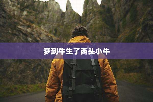 梦到牛生了两头小牛