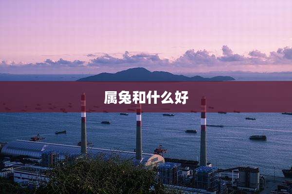 属兔和什么好