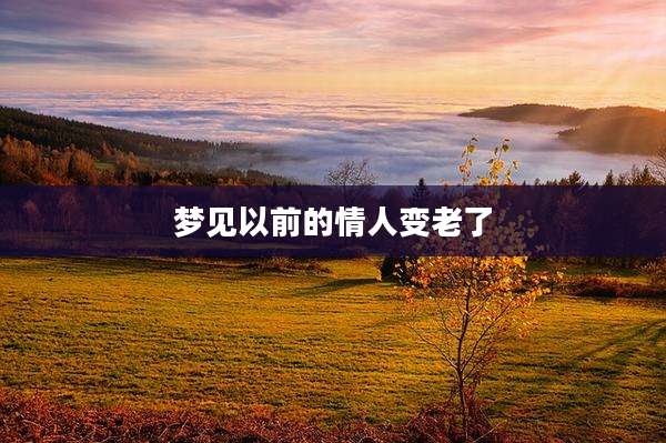 梦见以前的情人变老了