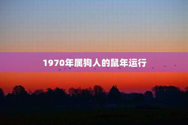 1970年属狗人的鼠年运行