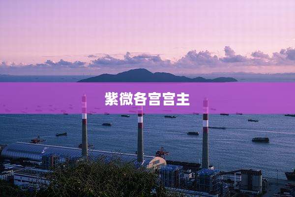 紫微各宫宫主