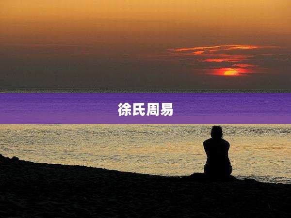 徐氏周易